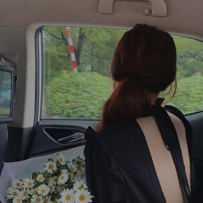 乱马 OVA特别篇 无差别格斗对凤凰