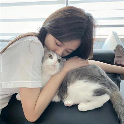 不能犯